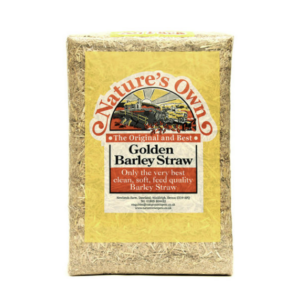 Golden Barley Straw XL