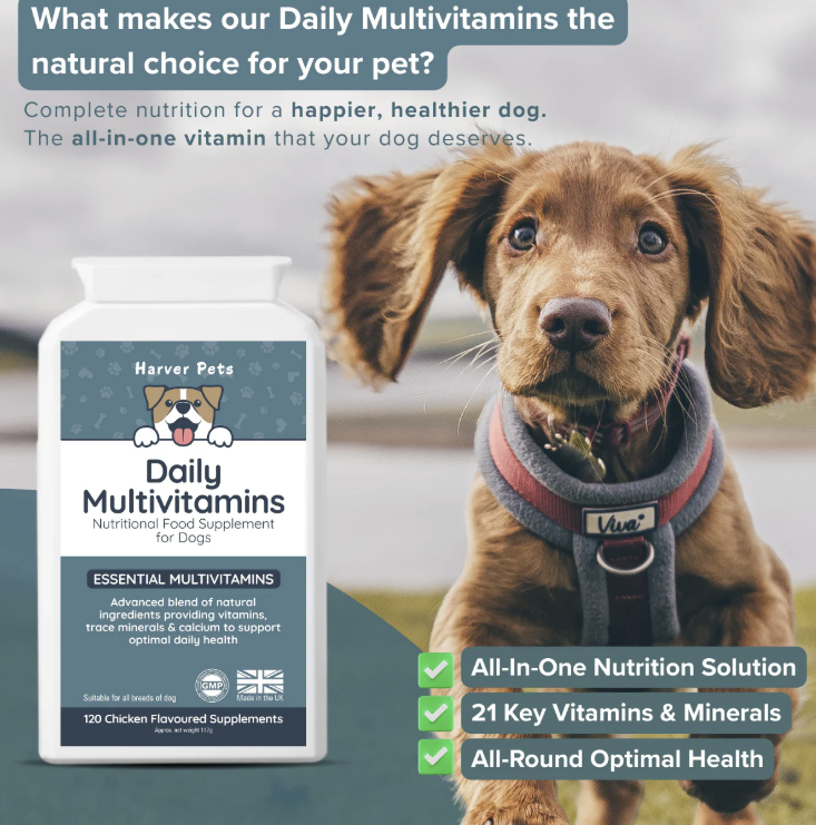 Harver Pets Daily Multivitamins for Dogs b