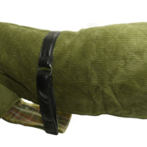 Corduroy & Leather Dog Coat - Green