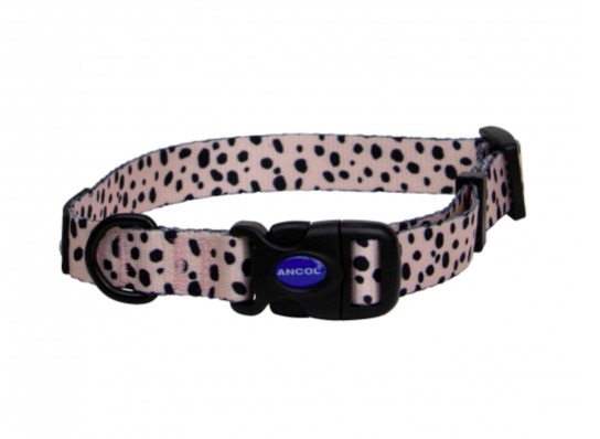 Ancol Dalmation Patterned Collar