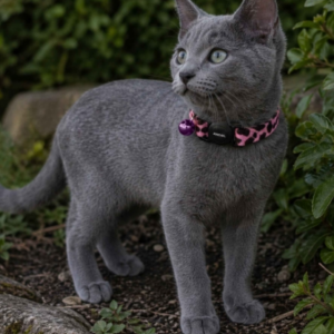 Ancol Pink Leopard Print Cat Collar a