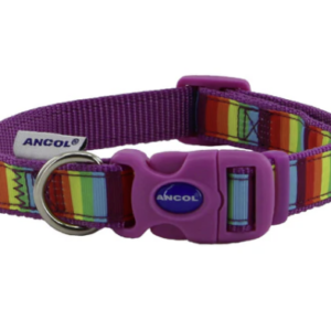 Ancol Rainbow Collar