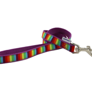 Ancol Rainbow Lead 19mm x 1m