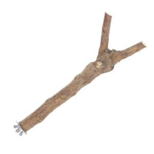Branch Perch for Bird Cage - Large