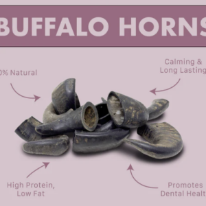 Buffalo Horns Large a