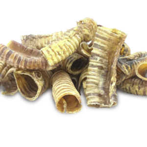 Buffalo Trachea
