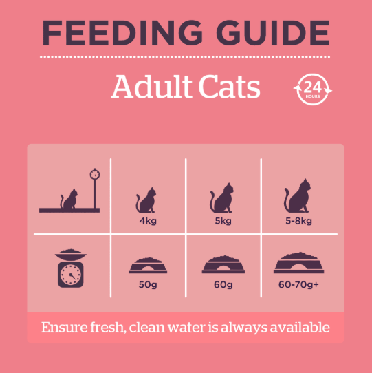 Burgess Adult Cat Rich in Salmon 1.5kg c