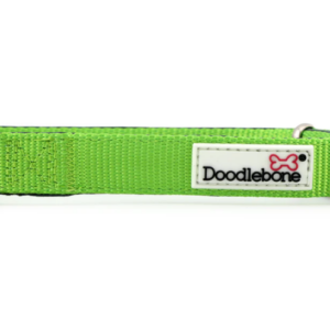 Doodlebone Bold Padded Collar Apple