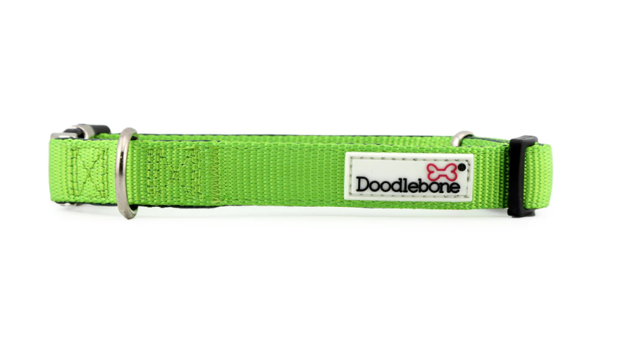 Doodlebone Bold Padded Collar Apple