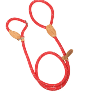 Doodlebone Slip Lead Red