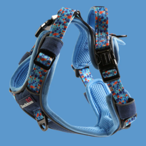 Doodlebone Trendy Tails With Me Harness Size 6-9