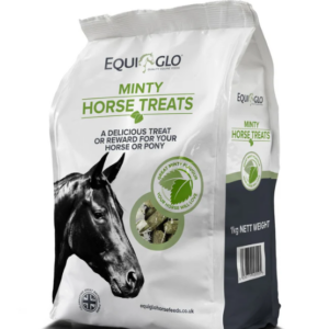 Equiglo Horse Treats 1kg