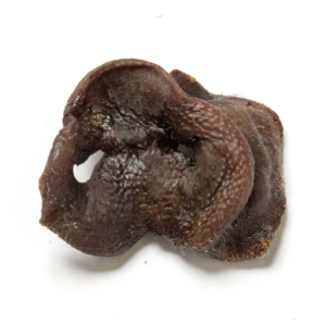 Pig Snout - Natural