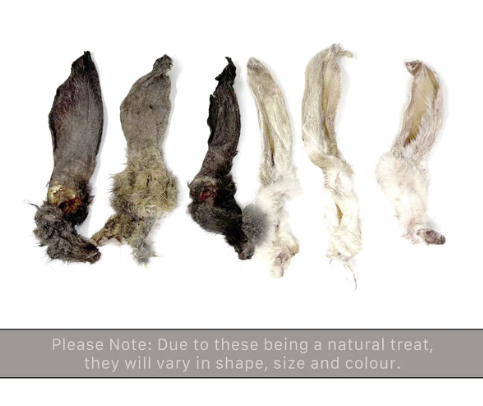 Rabbit Ears Sizes