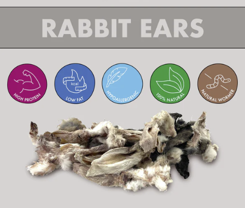 Rabbit Ears