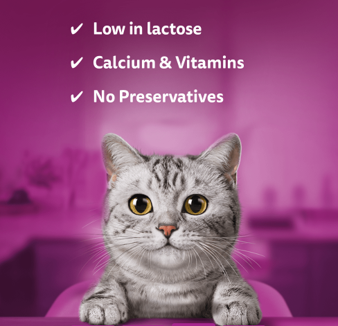 Whiskas Cat Milk 2