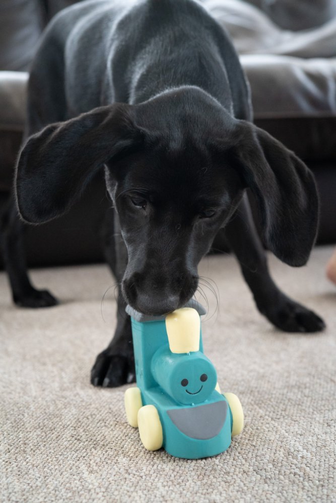 Little Petface Larry the Latex Train Toy - Image 2