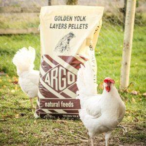 Argo Golden Yolk Layers Pellets 20kg