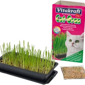 Vitakraft Cat Grass 120g