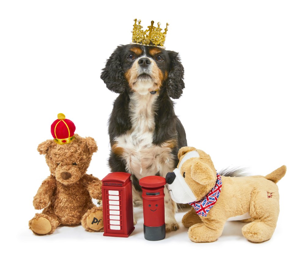 Petface Toby Telephone Box Squeaky Latex Toy - Image 2