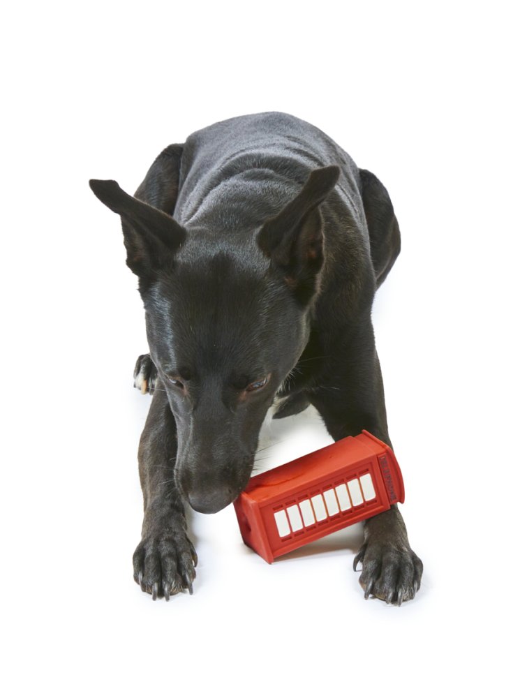 Petface Toby Telephone Box Squeaky Latex Toy - Image 3