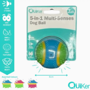 5in1 Multisenses Ball