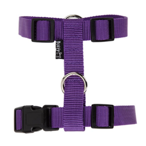 Bunty Purple Harness