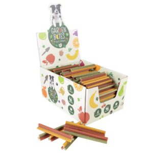 Garden Bites Fruity Dental Groovies - Small