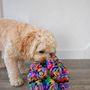 Snuffle Cage Ball