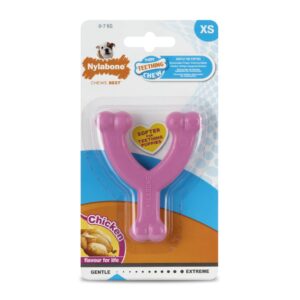 Nylabone Puppy Teething Chew XS