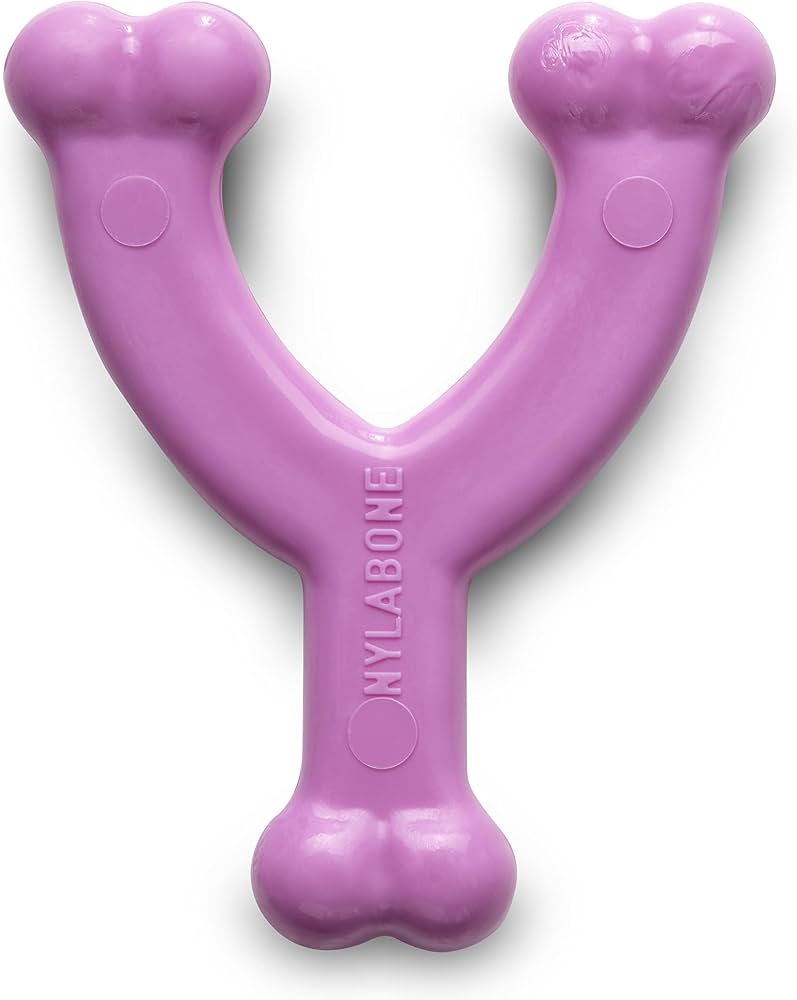 Nylabone Puppy Teething Chew XS - Image 2