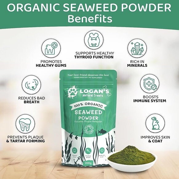 Logan's 100% Organic Seaweed Powder Plaque Remover - Image 2