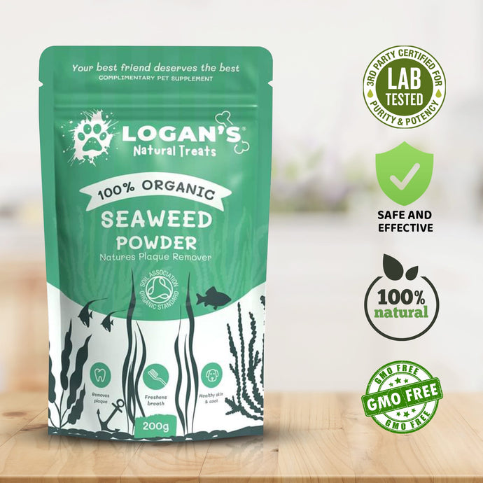 Logan's 100% Organic Seaweed Powder Plaque Remover - Image 3