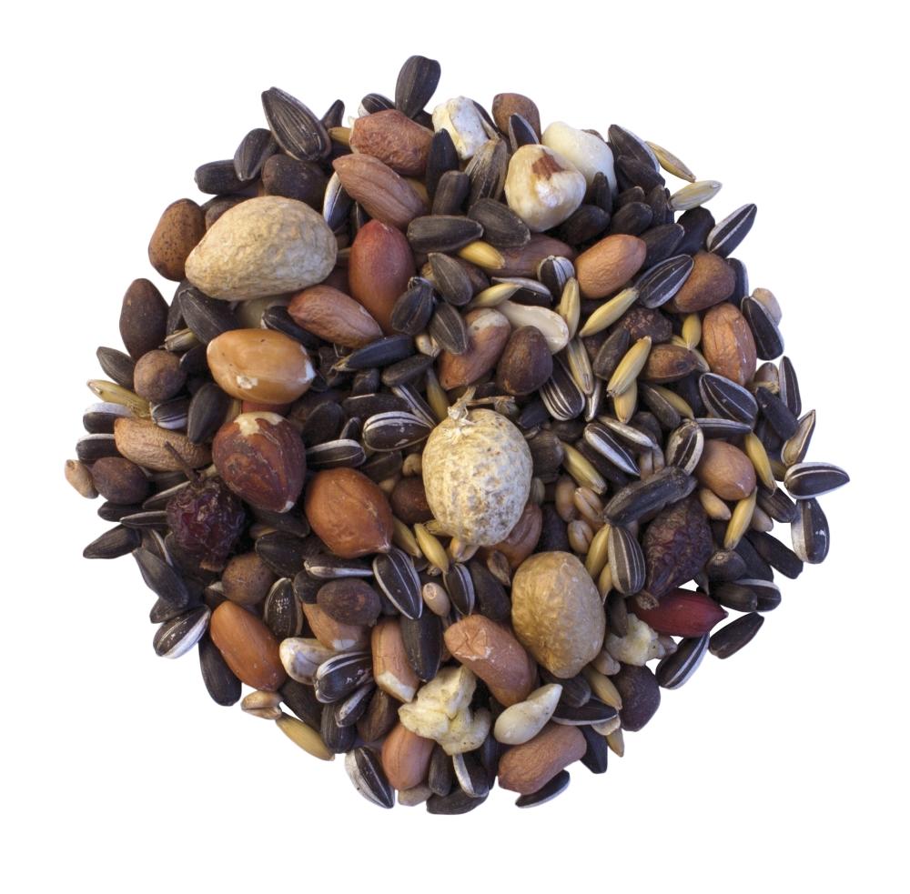 Mr Johnson's Wildlife Squirrel Food 900g - Image 2