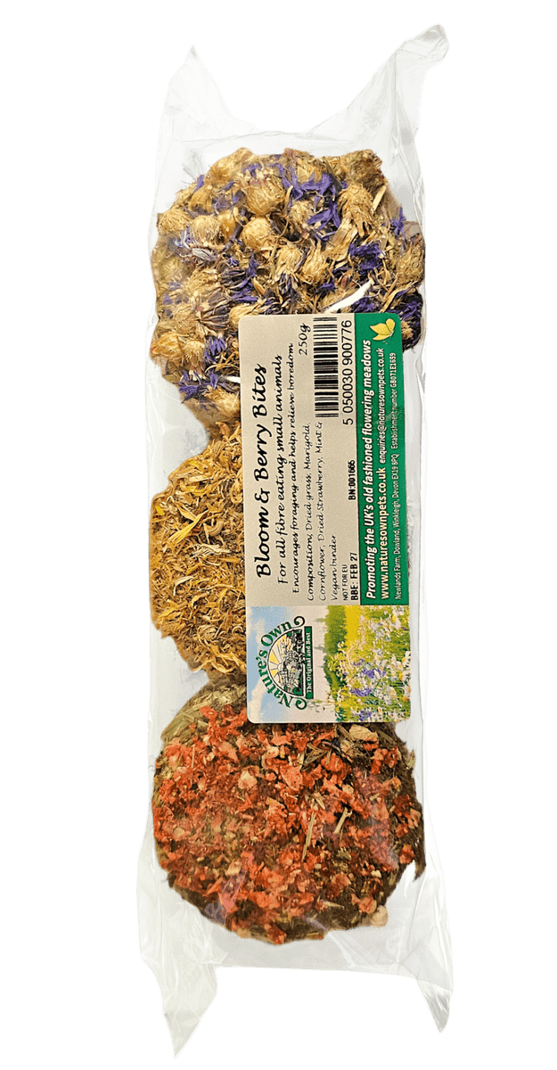 Nature's Own Bloom & Berry Bites 250g