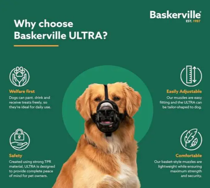 Baskerville Ultra Fitting Guide