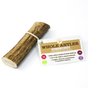 Whole Antler - Medium