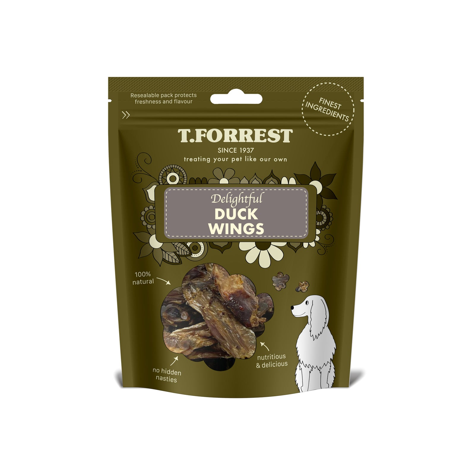 Duck Wings - Pack of 5