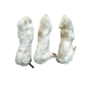 Hairy Rabbit Feet